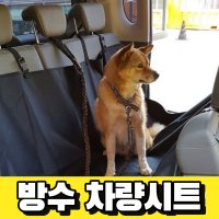 반려견 자동차 시트커버 카시트 차량매트