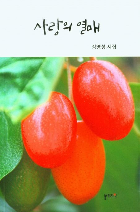 사랑의 열매 - [전자도서] / 김영성 지음