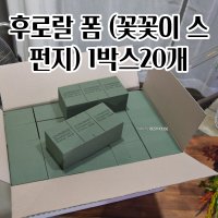 꽃꽂이 스펀지 x 20개 오아시스 이코노미 꽃꽂이 폼