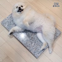 봄앤우즈 강아지 고양이 여름나기 강아지 대리석 쿨매트