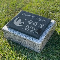 그레이스톤 강아지 고양이 펫 비석