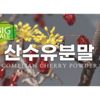 국산 산수유분말 가루 산수유 열매 먹는법 먹기편한 이중밀폐통 350g