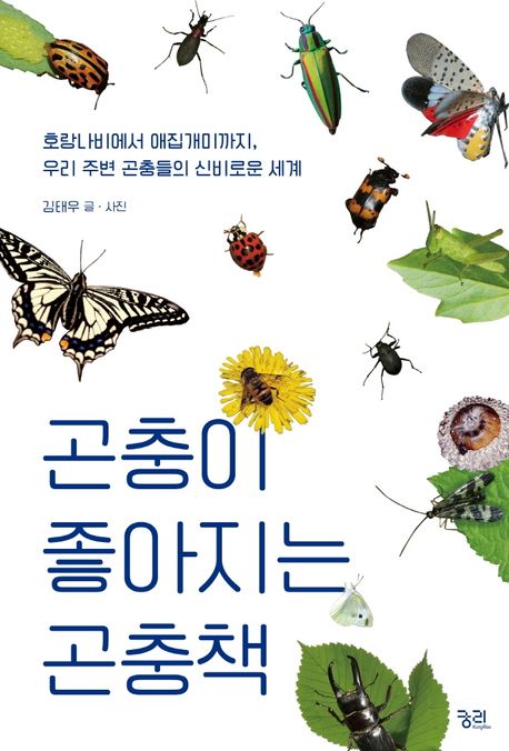 곤충이 좋아지는 곤충책  : 호랑나비에서 애집개미까지, 우리 주변 곤충들의 신비로운 세계  