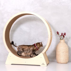 [무료배송] 머든제작소 원목 캣휠