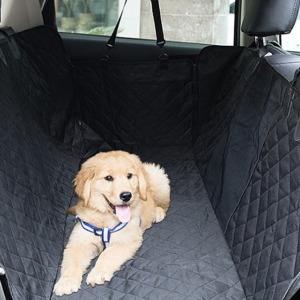 Pet Taxi (펫 택시)