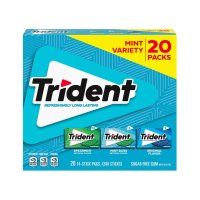 트라이던트 Trident 트리덴트 민트 슈가프리 껌 버라이어티 팩 20개입