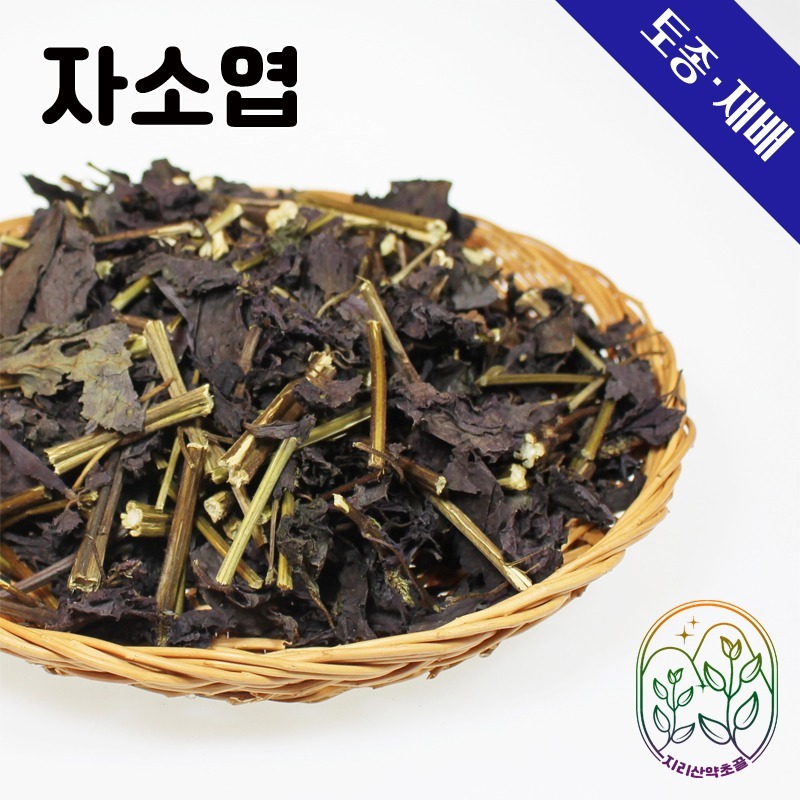 국산 <b>자소엽</b> 300g <b>차즈기</b> 지리산토종약초,토종, 100%국내산, 차, 먹는방법, 효능