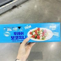 덴마크 보냉백포장 덴마크 후레쉬 보코치니 125g x 3 단품 단품