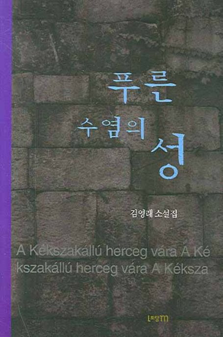 푸른 수염의 성 (김영래 소설집)