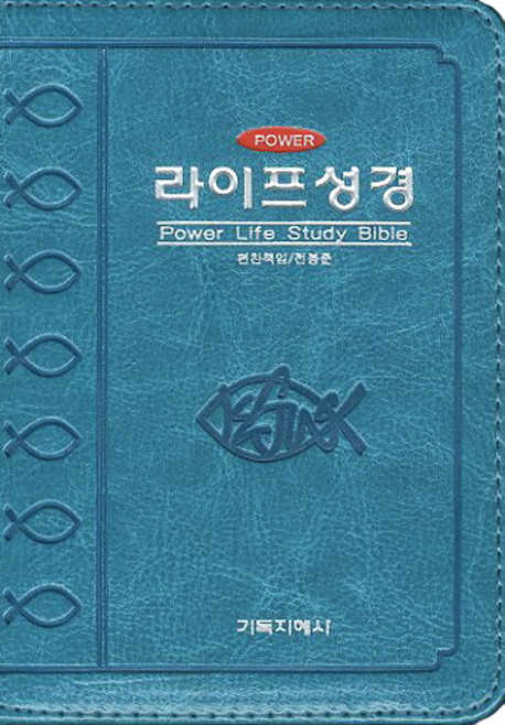 파워라이프성경(미니)(청록)(개역한글판)