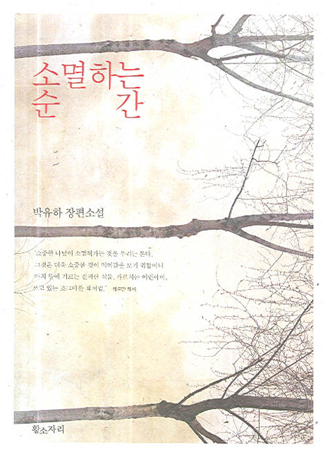 소멸하는 순간 : 박유하 장편소설