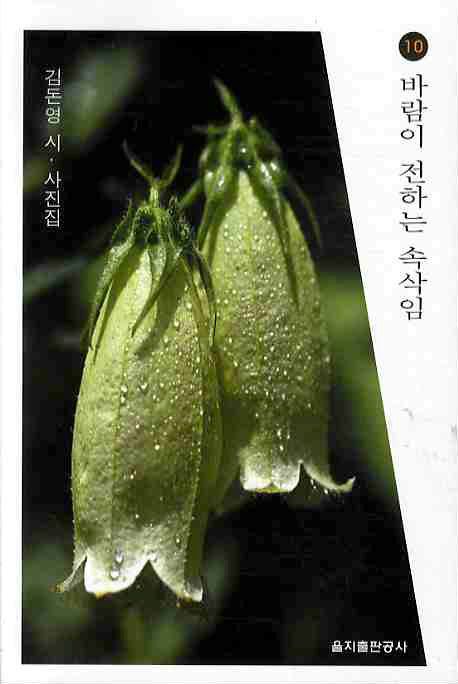 바람이 전하는 속삭임 (김돈영 시.사진집)