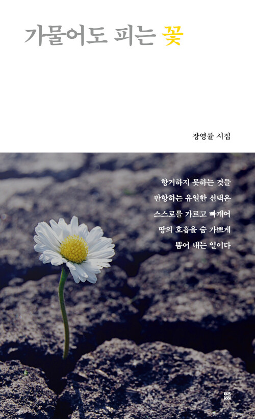 가물어도 피는 꽃  : 장영률 시집