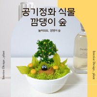 스칸디아모스 공기정화식물 천연이끼 깜댕이숲 (달꽃이야기)