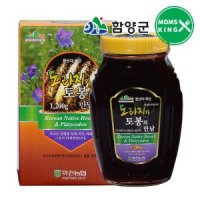 함양군 함양군 지리산마천농협 도라지와 토봉의만남 도라지꿀 1 2kg