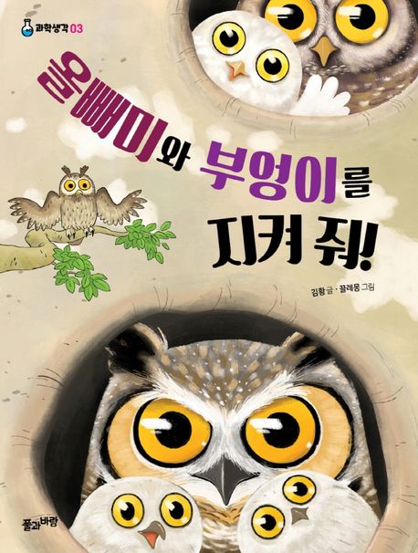 올빼미와부엉이를지켜줘!