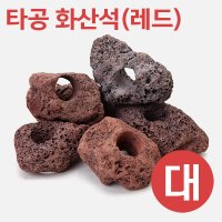 타공 화산석 대 8