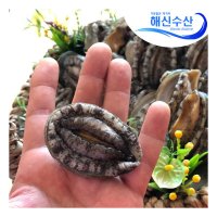 [해신수산] 완도활전복 30-40미 1kg