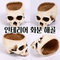 무서운 화분 인테리어 특이한 해골 화분 봄 커피찌꺼기