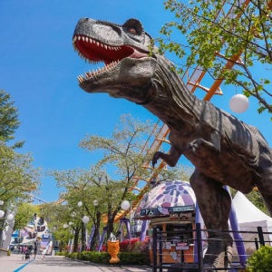 [당일사용가능] 과천 서울랜드 입장권 어린이 파크 자유 이용권 (종일권/전일권)