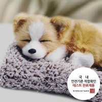 에코벨 리얼펫 제습인형 소형 탈취제 제습인형 소형-래브라도