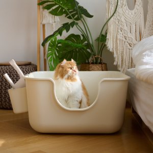 강집사 항균 스퀘어 고양이 대형 화장실 배변통 변기