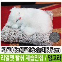 리얼펫 고양이 미니캣 공기 탈취제 제습 정화 앙고라