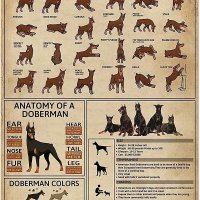 도베르만 핀셔 개 지식 금속 주석 기호 바디 랭귀지 레스토랑 카페 거실 부엌 115