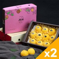 맛나미 제주 황금향 선물세트x2박스