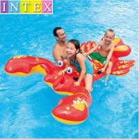 물놀이튜브 랍스터 대형 꽃게 투명 INTEX 풍선 수영장 워터파크