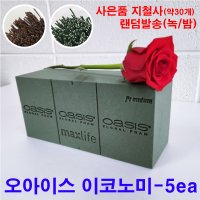 오아시스 이코노미 5EA 지철사 27번 약30개