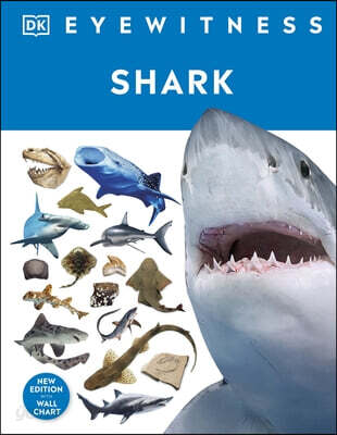 A Shark (Tres thrillers que no podras soltar)