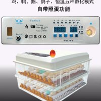 조류 부화기 병아리 메추리 알부화기 알집용 타조중호 수정계 키우기 소형형 물침대