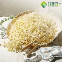 GAP인증  크린 곱슬이 콩나물 4kg