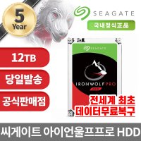 씨게이트 IronWolf Pro HDD NAS용  12TB  ST12000NE0008