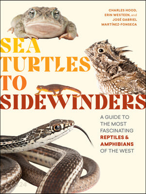 Sea Turtles to Sidewinders: A Guide to the Most Fascinating Reptiles and Amphibians of the West