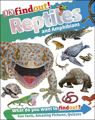 DKfindout! Reptiles and Amphibians (Inspector Maigret #22)