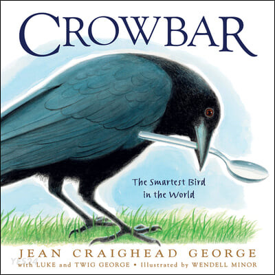 Crowbar : the smartest bird in the world