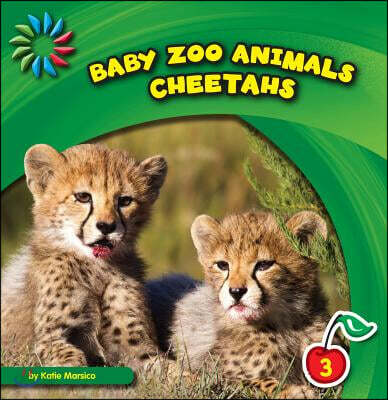 Cheetahs