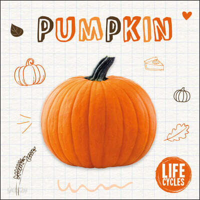 Pumpkin (An uplifting story of love and family from Saturday Kitchen’s Helen McGinn)