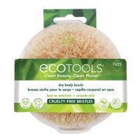 EcoTools 드라이 바디 브러시 1개