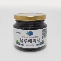 지리산 유기농 블루베리 잼 250g 1병 국산 국내산