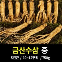 선진인삼사 세척 인삼 수삼 난발삼 5년근 750g 보자기 쇼핑백