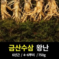 선진인삼사 세척 인삼 수삼 난발삼 믹스 750g 보자기 쇼핑백