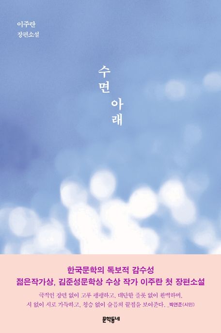 수면 아래 : 이주란 소설