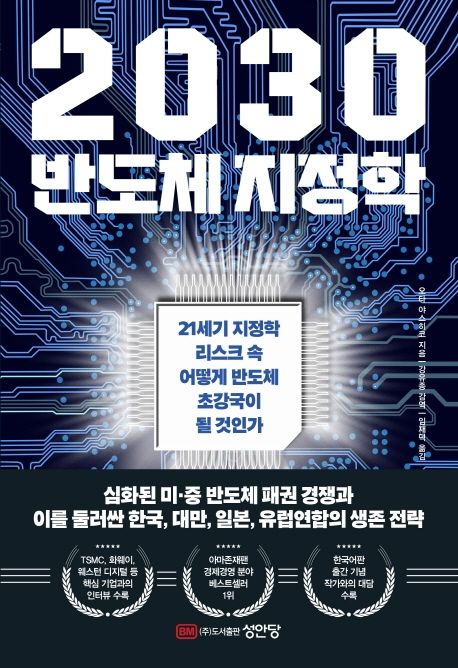 2030 반도체 지정학 (21세기 지정학 리스크 속 어떻게 반도체 초강국이 될 것인가)