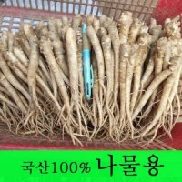 국산도라지 1kg(나물용) 정과용 생도라지 ----산지직송