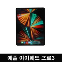 애플 아이패드 프로 3세대 11 WiFi 256G /청강