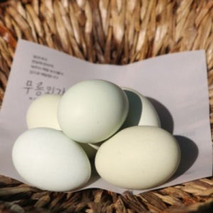 제주 제주도 무항생제 자연방사 청란, 청계가 낳은 알 30입 [무릉외갓집]