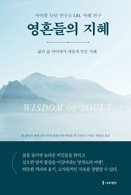 영혼들의 지혜 - [전자책]  : 마이클 뉴턴 연구소의 LBL 사례 연구  : 삶과 삶 사이에서 새롭게 얻은 지혜